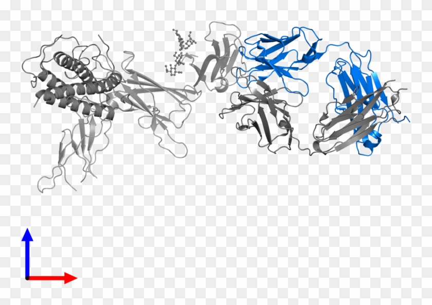 <div Class='caption-body'>pdb Entry 3hmx Contains 1 - Cartoon Clipart