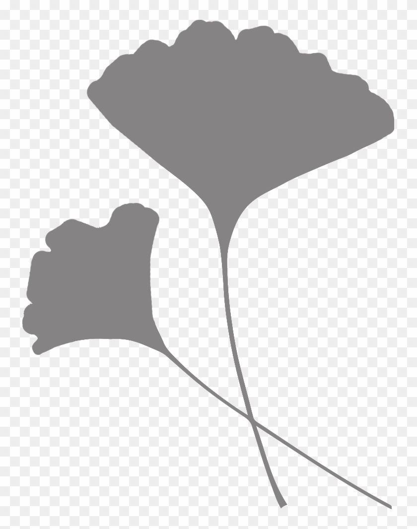 The Resilience Of Ginkgo Biloba Clipart #3949550