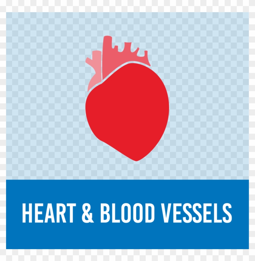 Nz What Is Diabetes-20 - Illustration Clipart