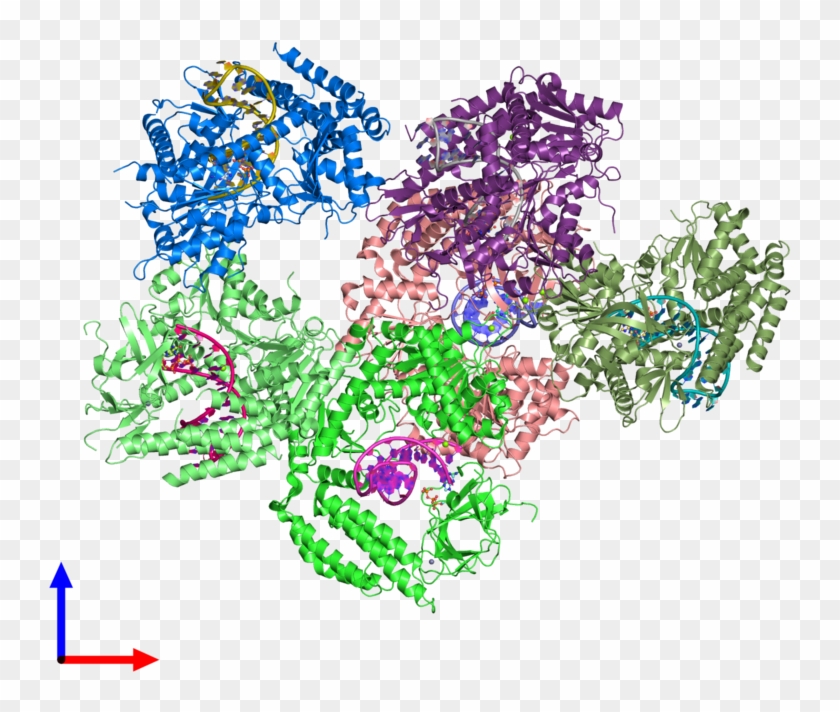 Pdb 5f9h Coloured By Chain And Viewed From The Front - Illustration Clipart