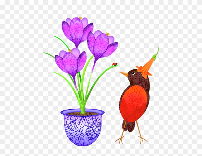 Click And Drag To Re-position The Image, If Desired - Snow Crocus Clipart