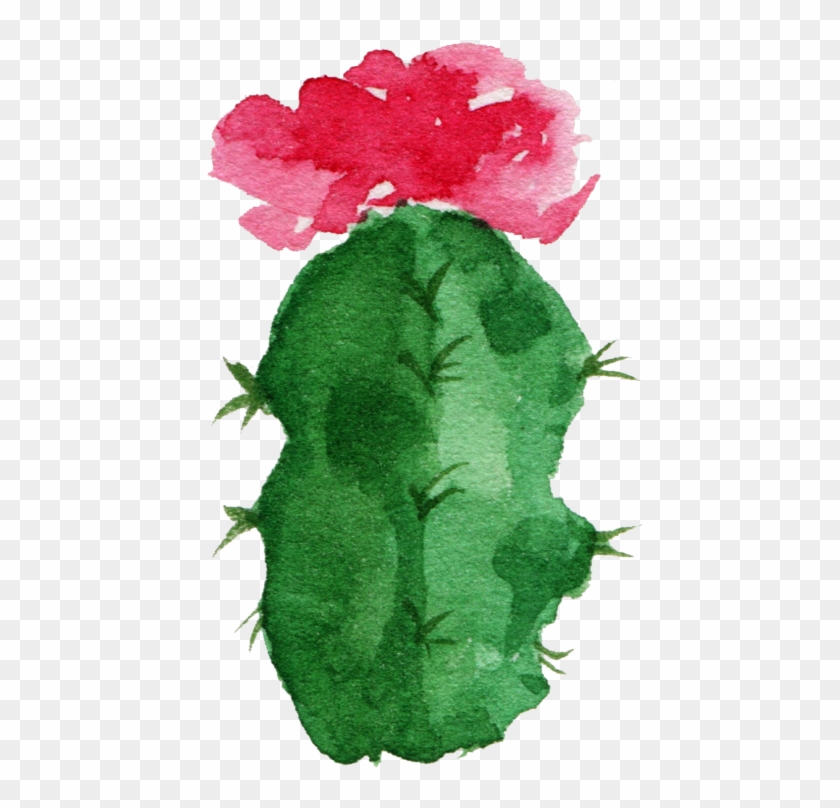 Paper Cactaceae Watercolor Painting Succulent Plant - Watercolor Transparent Succulent Background Clipart #3951433