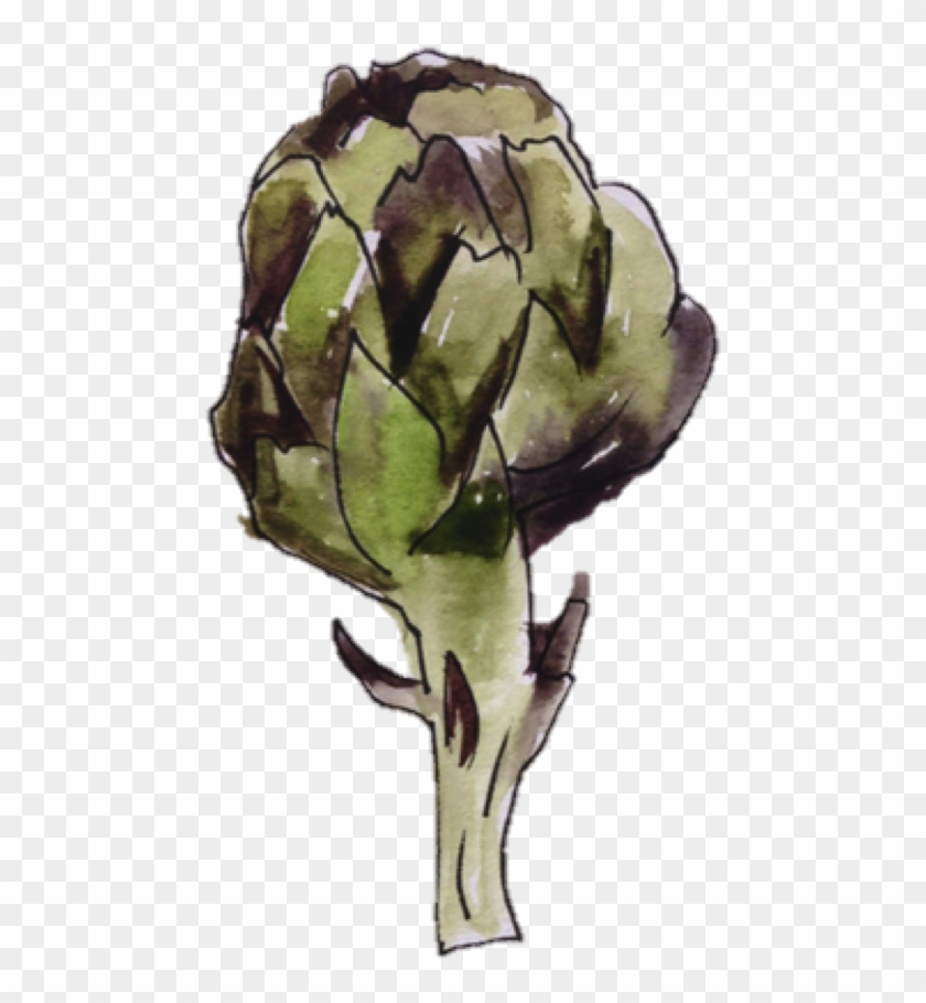 Svg Freeuse Stock Artichoke Drawing Watercolor - Artichoke Clipart