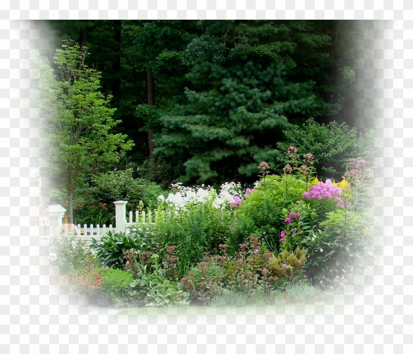 Fence Planting In Weston - Rhododendron Clipart