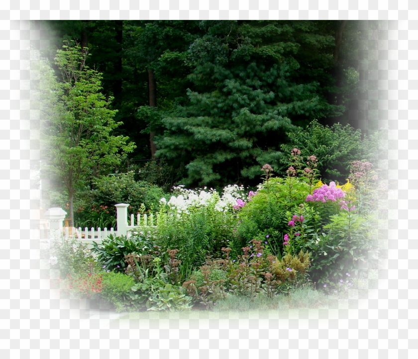 Fence Planting In Weston - Rhododendron Clipart #3953166
