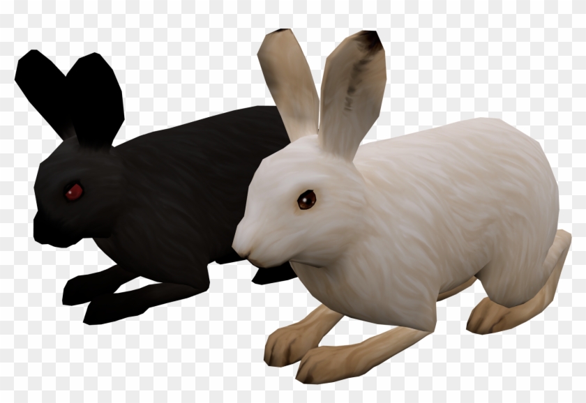 Supplemental Ngss Instructional Video Game For Middle - Domestic Rabbit Clipart