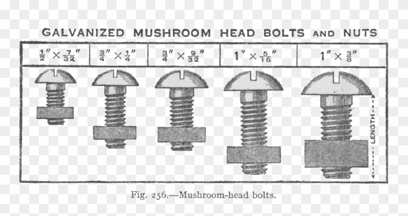 Mushroom Head Bolts & Nuts - Architecture Clipart