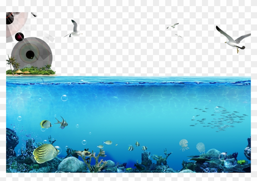Transparent Sea Underwater - Underwater Png Clipart #3953516