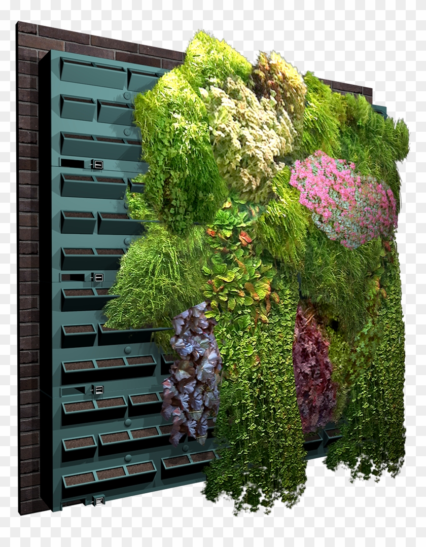 Mur Vegetal , Png Download - Mur Végétale Clipart #3953684