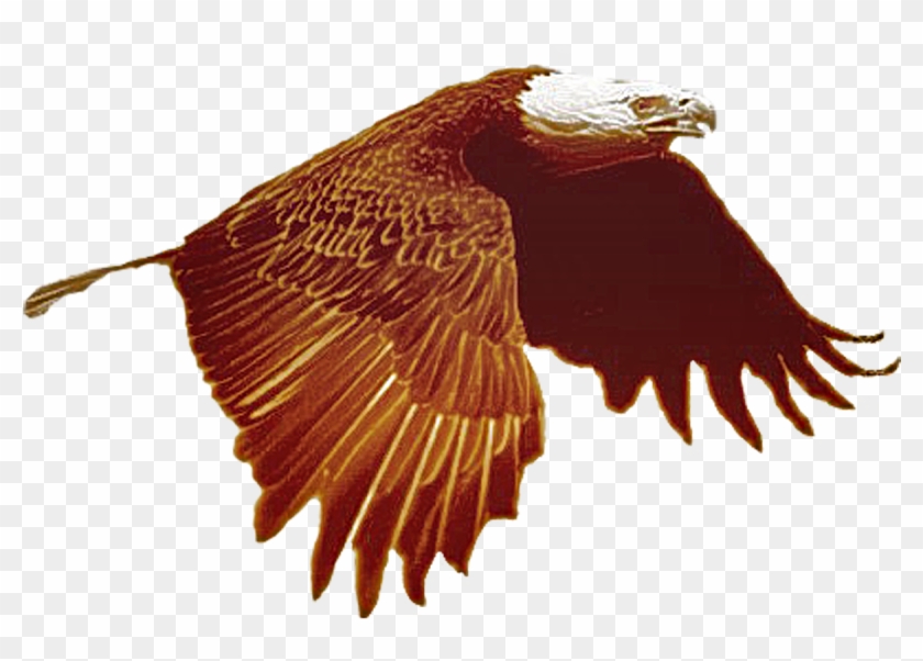 Eagle C 001 Duo - Eagle Clipart #3953773