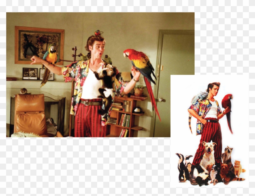 - - Ace Ventura Pet Detective Costume Clipart