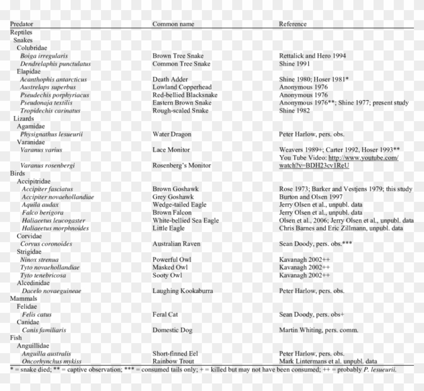 Reported Predators Of The Australian Water Dragon - Dentist Lucila Hinojosa Grand Prairie Tx Clipart