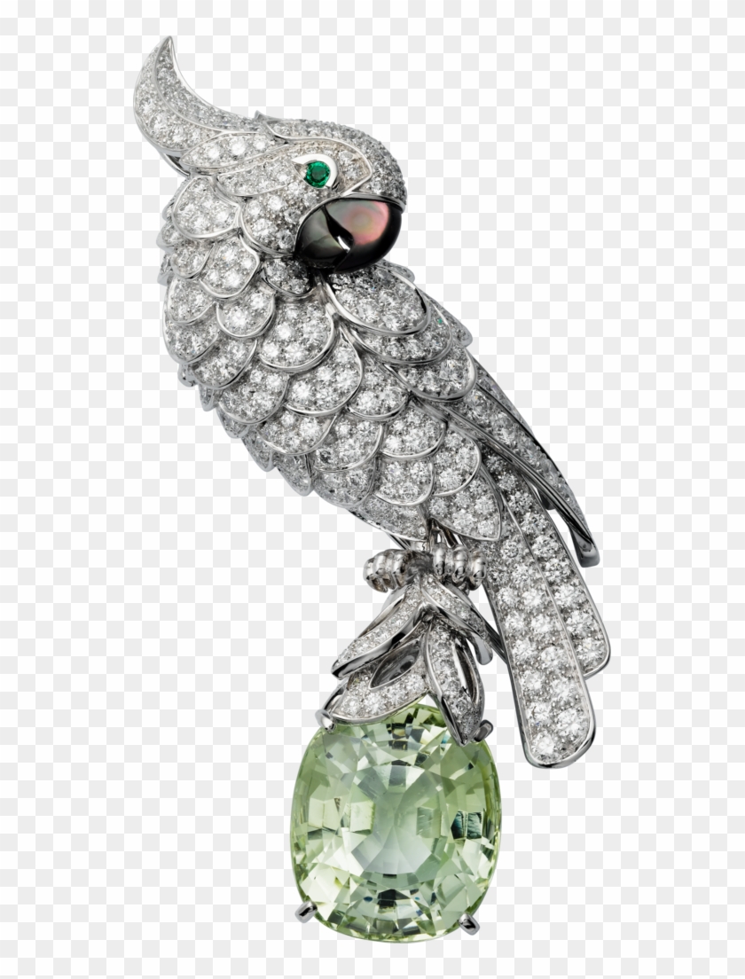 22 Nov - Cartier Parrot Clipart #3954502