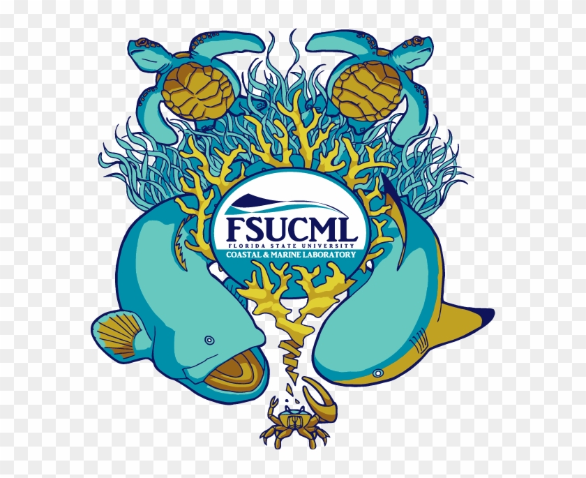 Florida State University Coastal And Marine Laboratory Clipart #3955201