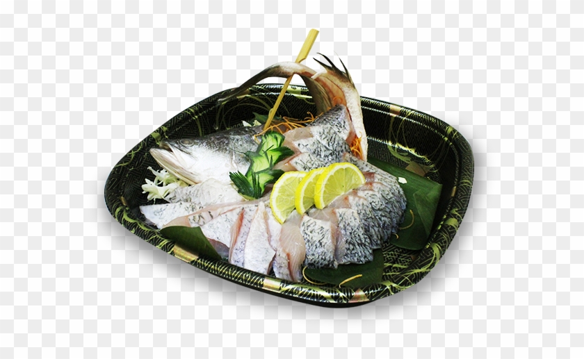 Grey Grouper <br> - Sashimi Clipart