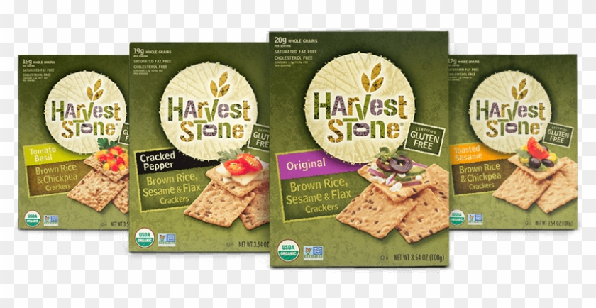 See The Flavors - Matzo Clipart