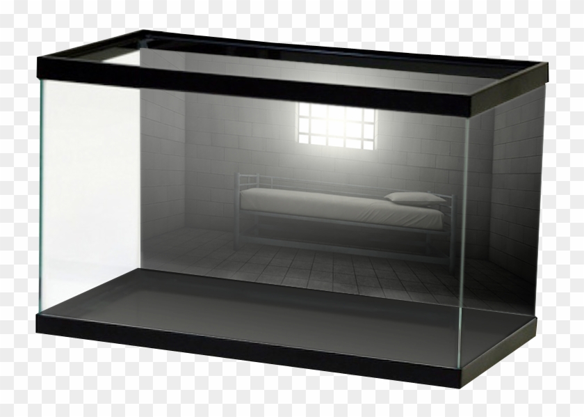 3d Aquarium Backgrounds - Mirror Background Aquarium Clipart #3957851