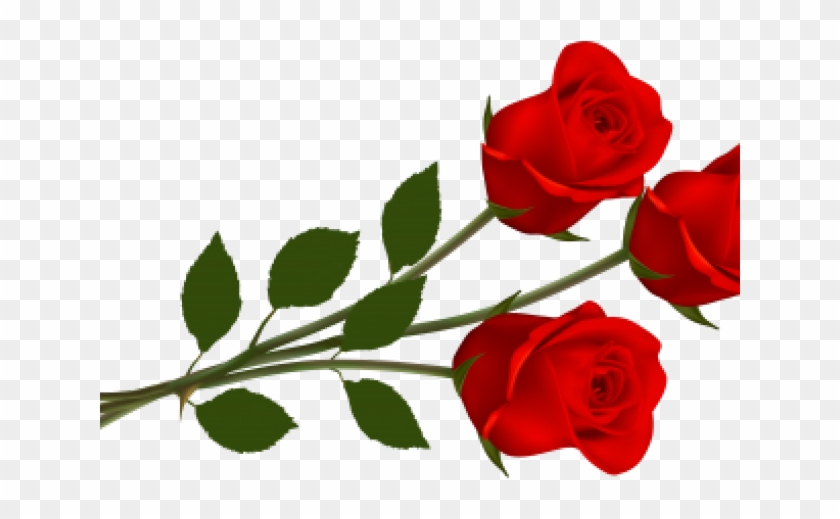 Rose Png Hd Images Download Clipart #3959947