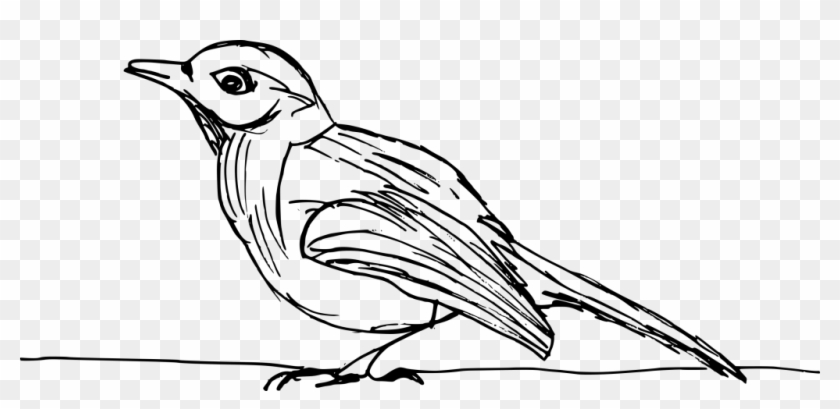 Png File Size - Woodpecker Clipart #3961355