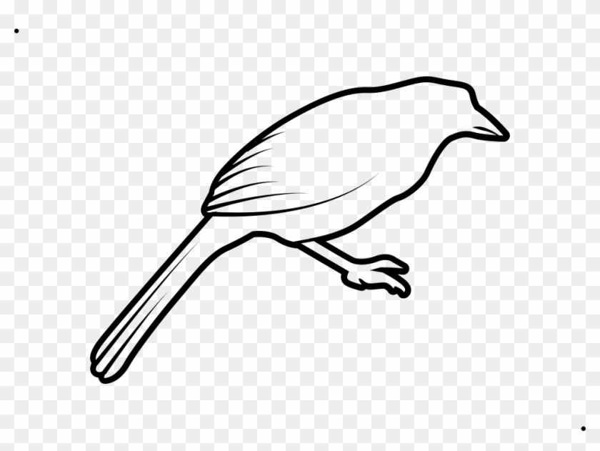 Stroke Drawing Bird Clipart