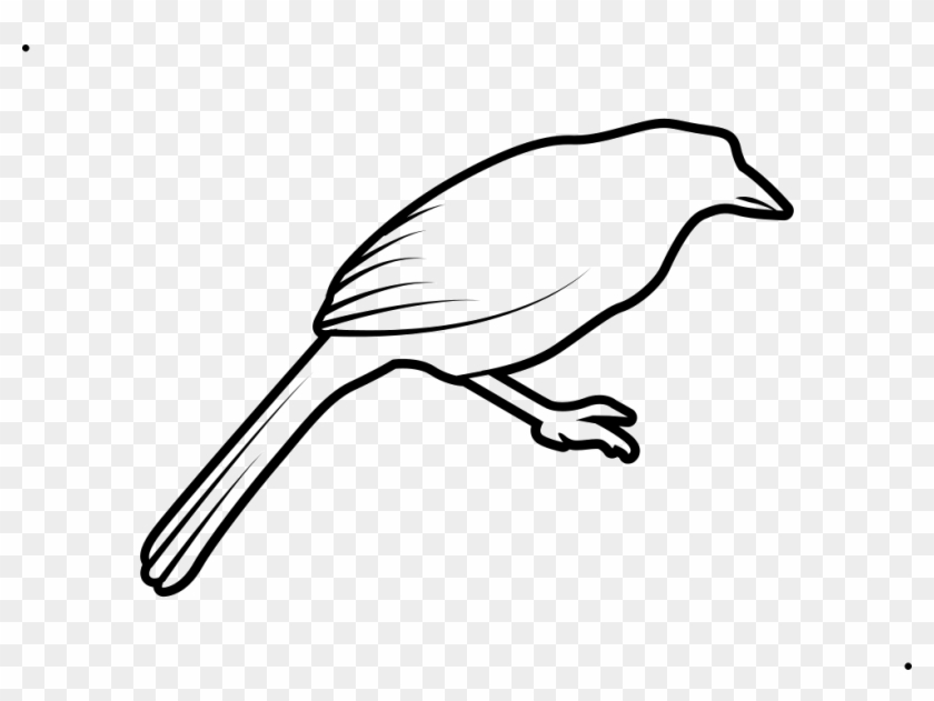 Stroke Drawing Bird Clipart #3961520