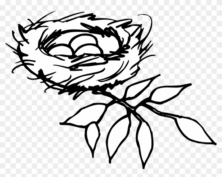 Nest Eggs Birds - Nest Clipart Black And White Png Transparent Png