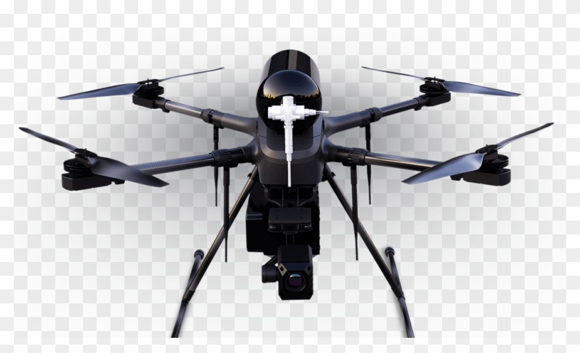 17 Sep - Narwhal 2 Drone Clipart