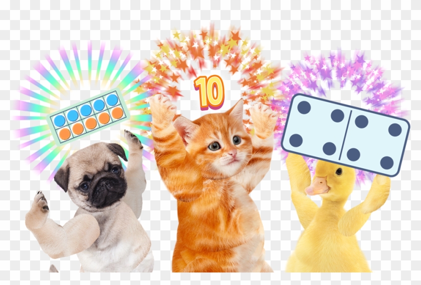 Learn More - Squitten Clipart