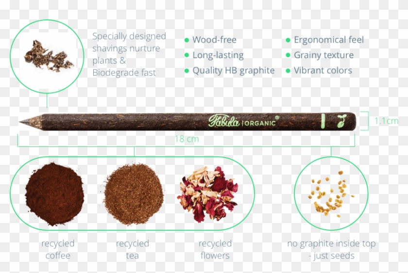 Fabuladescription - Cinnamon Clipart #3962645