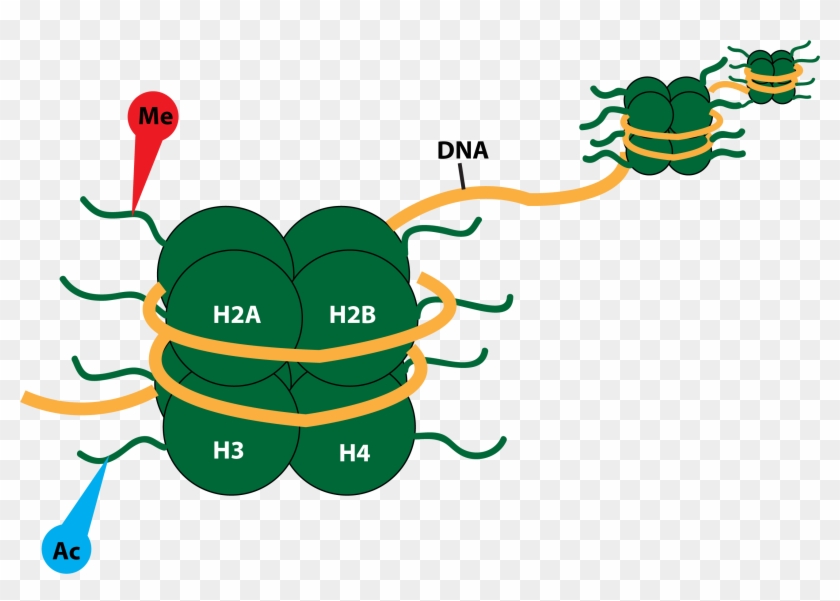 Featured Article Image Clipart