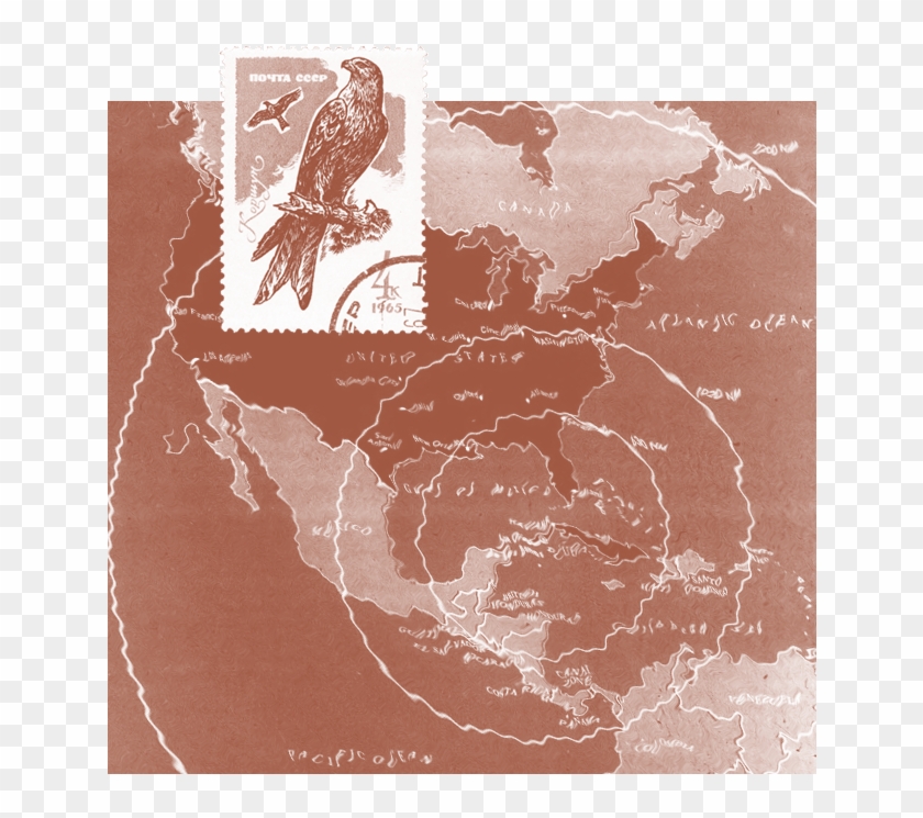 Native Americans Were Permitted To Use Eagle Feathers - Cccp Clipart