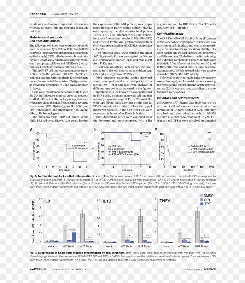 Back Issues - Discovery Of Achilles On Skyros Clipart