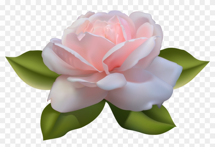 Beautiful Pink Rose With Leaves Png Image - Pink Rose With Leaves Clipart