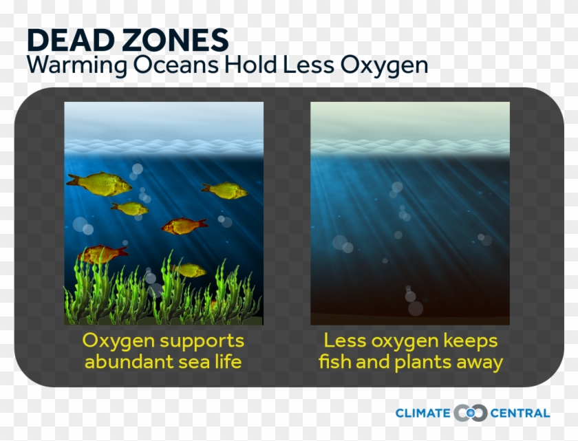 Jpg • Png - Less Oxygen In The Ocean Clipart #3966888
