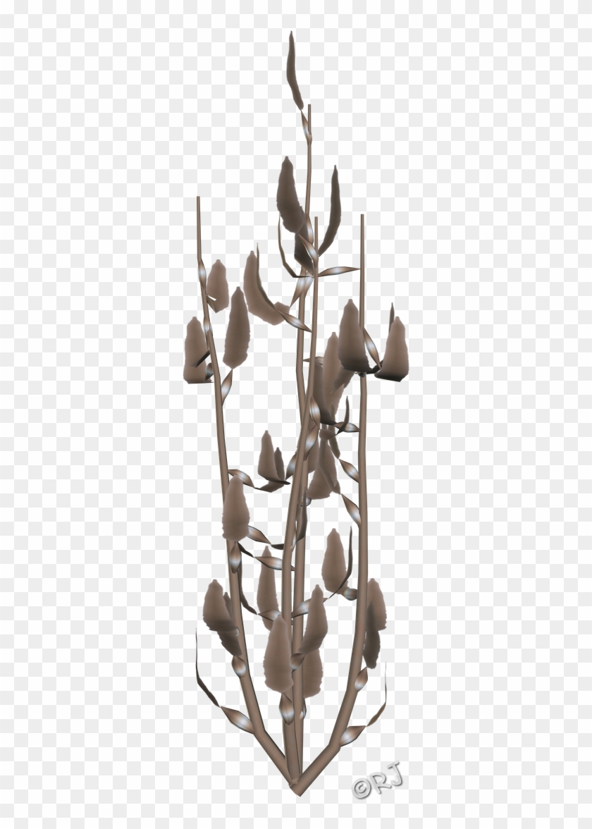 Sea Plants - Cattleya Elongata Clipart #3967221