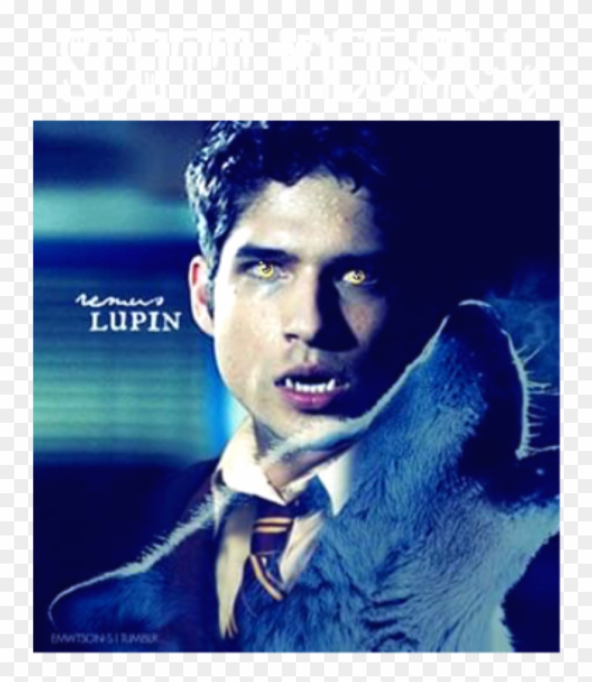 Model Image Graphic Image - Poster Clipart