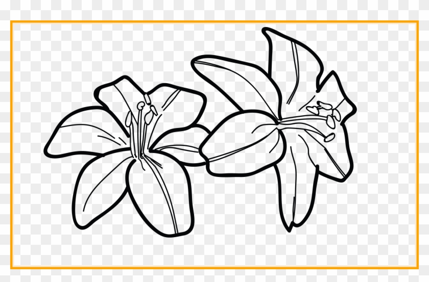 Morning Drawing Lily - Tiger Lily Flower Black And White Clipart #3968141