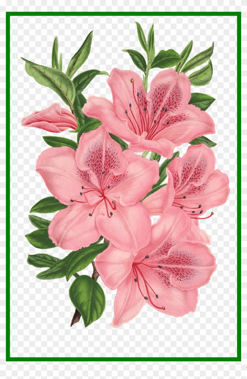 Png Freeuse Library Appealing Pink Bunch Of Flowers - Flower Bunch To Drawing Clipart #3968227
