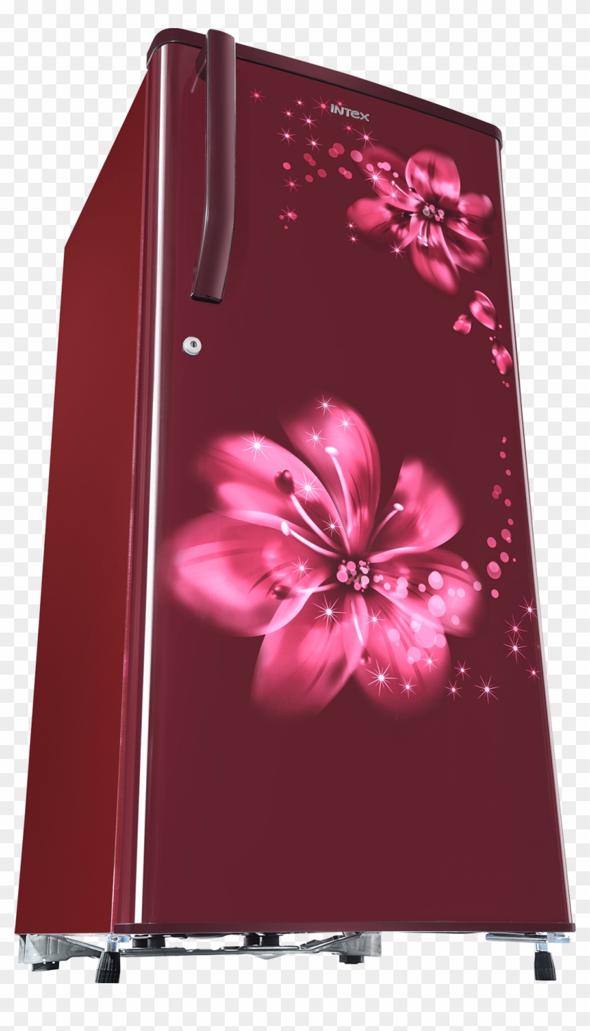 Intex Hawaiian Wine 180l - Tiger Lily Clipart