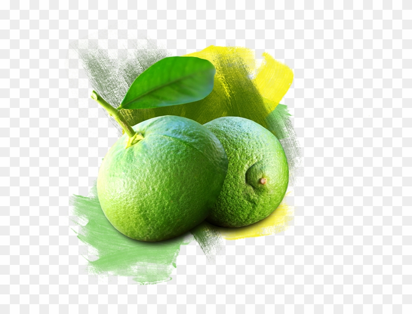 Slider 2 Object - Persian Lime Clipart #3968553