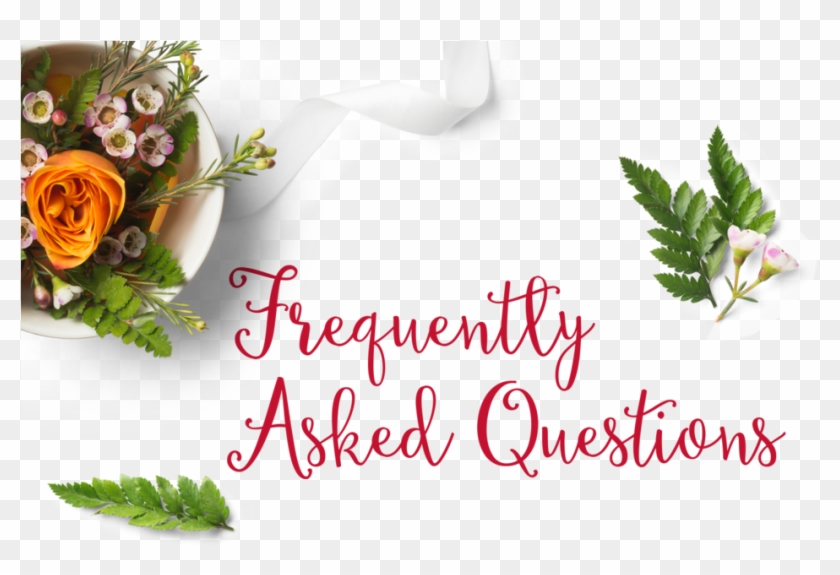 Faq - Hybrid Tea Rose Clipart #3968756