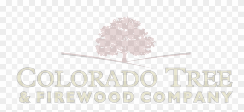 Colorado Tree And Firewood 682 0462 Or (719) 680 1071 - Wawel Cathedral Clipart #3968866