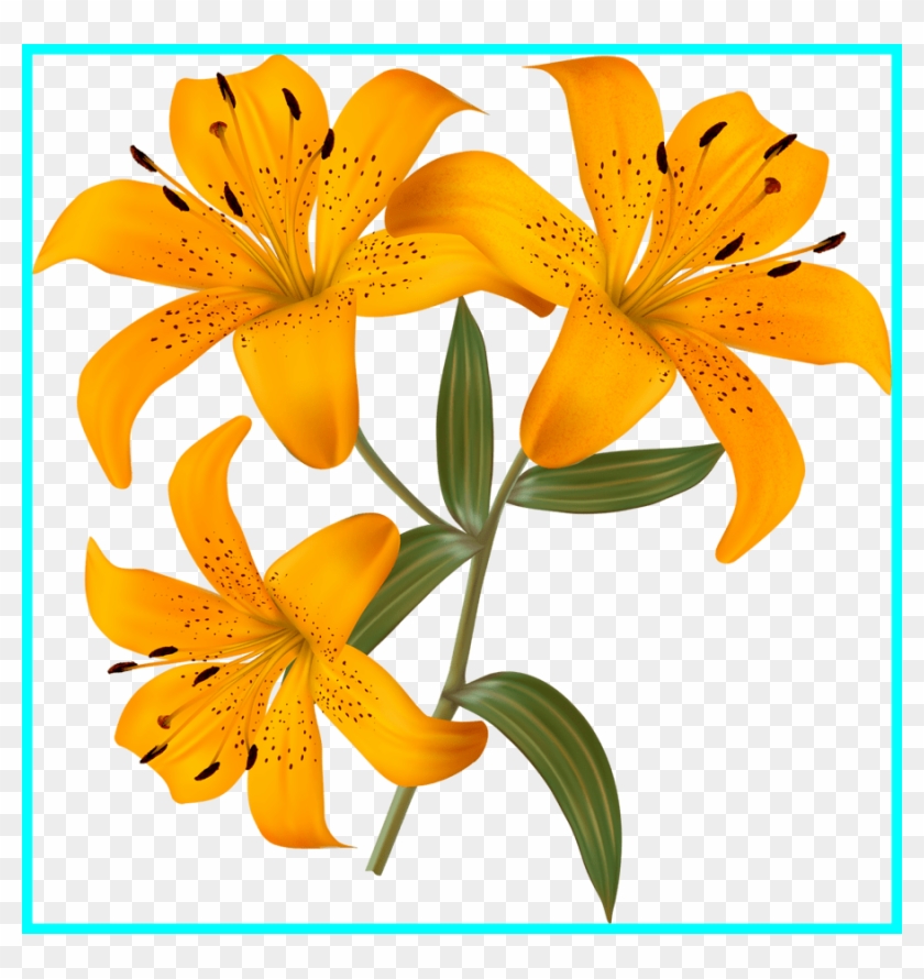 Inspiring Jandeks Fotki Clipart And Album Image Of - Lily - Png Download