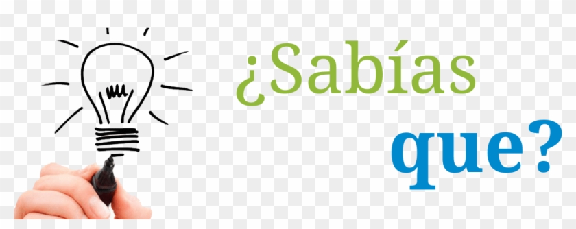 Aquí Te Dejamos Algunos Datos Sobre El Cuerpo Humano - Calligraphy Clipart #3969309