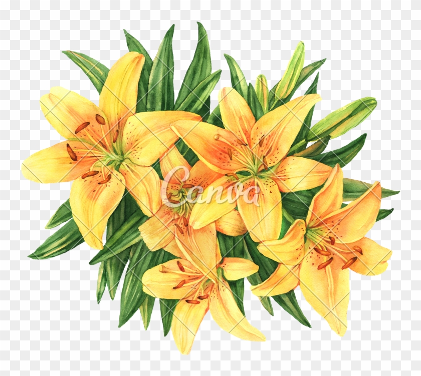 Label Untitled Design Pinterest Liked Explore Lilies - Yellow Lilies Png Clipart