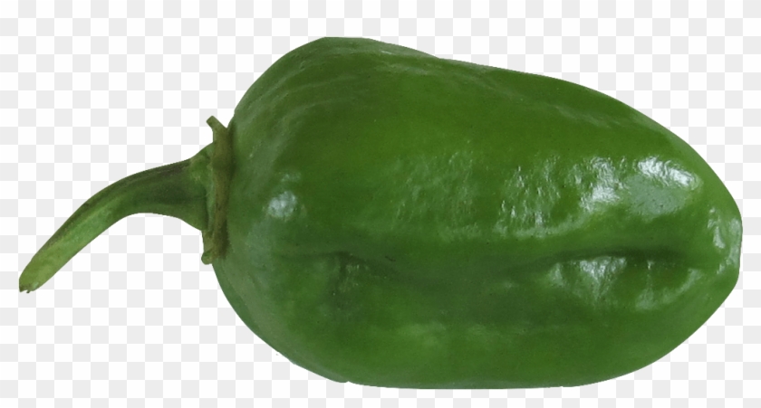 Italian Sweet Pepper Clipart #3969346