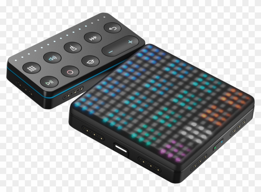 Tipos De Viudas Negras Clipart