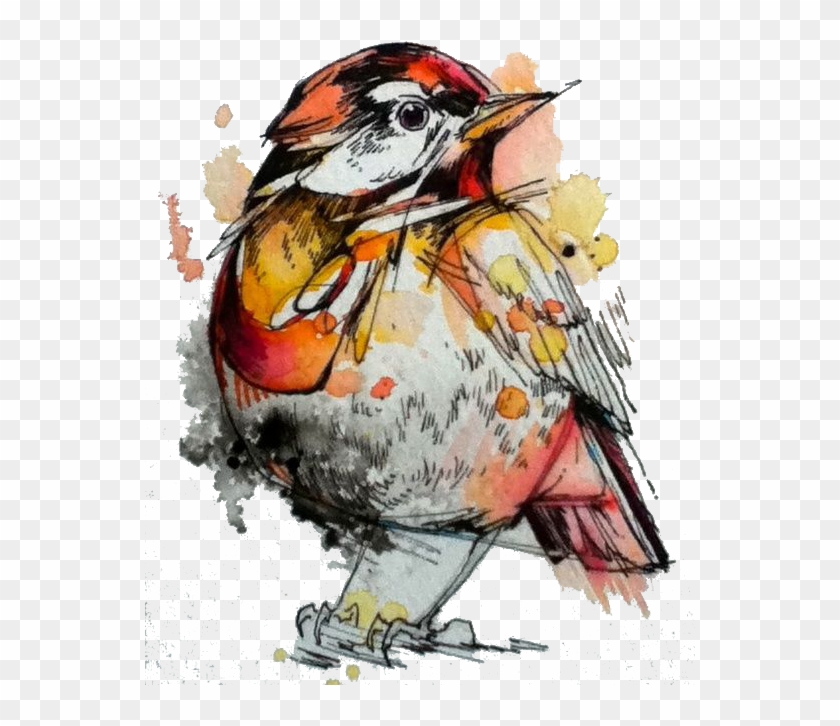 Watercolor Painting Artist Sparrow - Ink And Watercolor Art Clipart