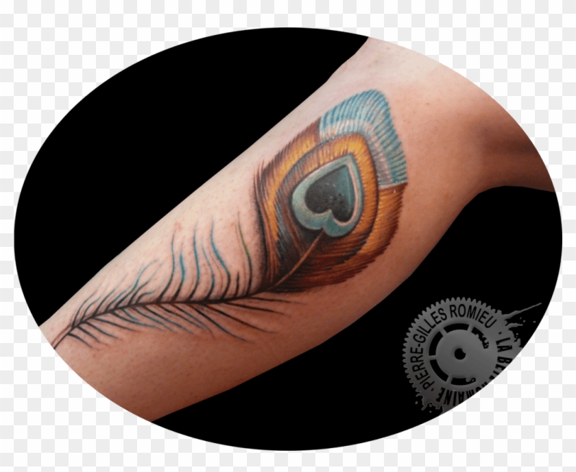 Plume Pierre Gilles - Tattoo Clipart