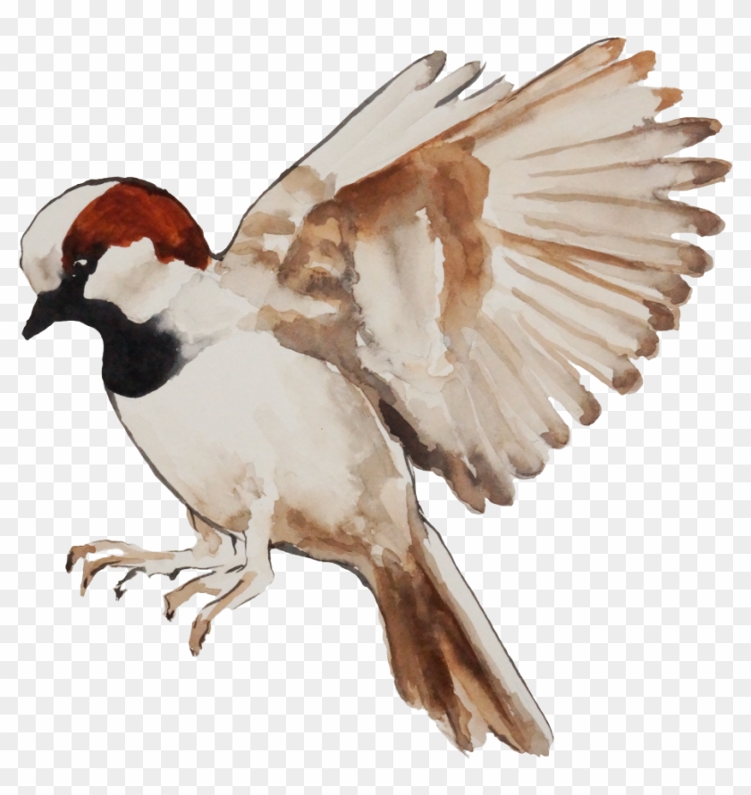 Art By Christine Parson - Woodpecker Clipart